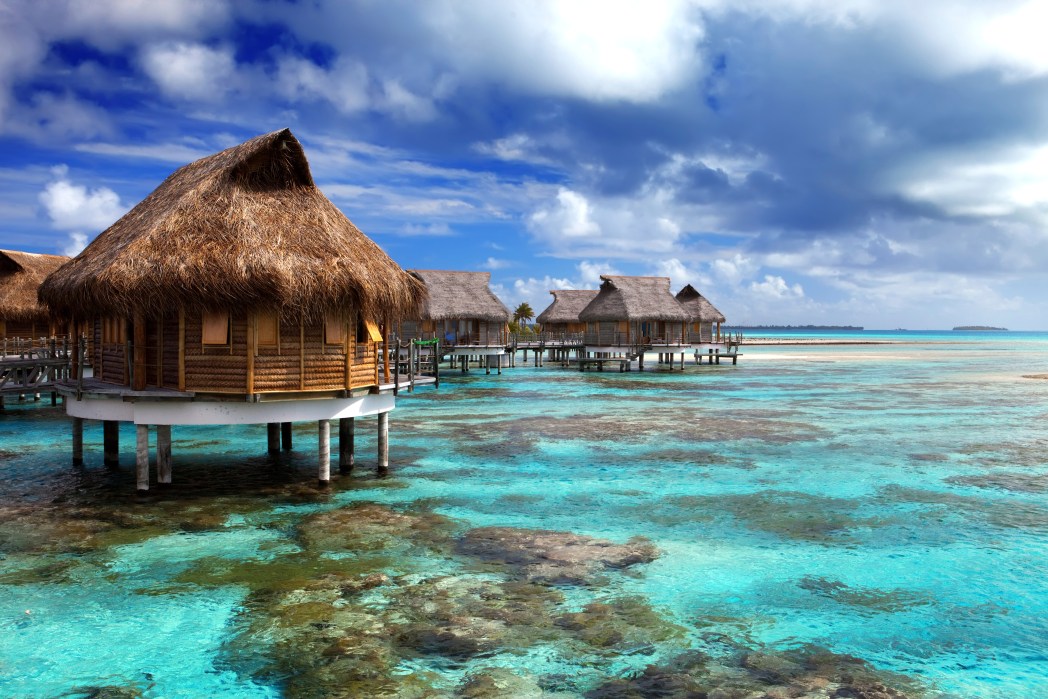Проверь авиабилеты на Мальдивы   Проверить отели на Мальдивах