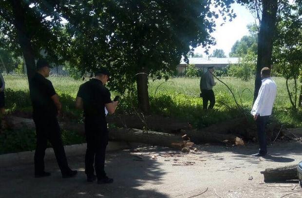 Четверо детей госпитализированы в больницу, предварительно в одного ребенка перелом голени, в других ушибы